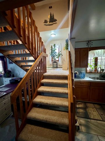 125 N Cedar Street, Evart, MI 49631