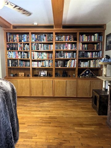 125 N Cedar Street, Evart, MI 49631