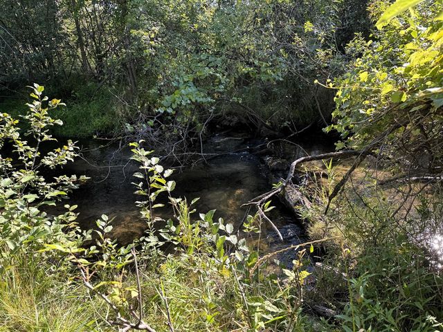 125 N Cedar Street, Evart, MI 49631