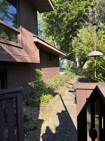 125 N Cedar Street, Evart, MI 49631