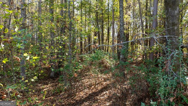 575 Tabb Way, Chattahoochee Hills, GA 30268