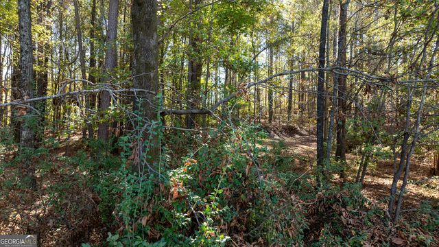 575 Tabb Way, Chattahoochee Hills, GA 30268