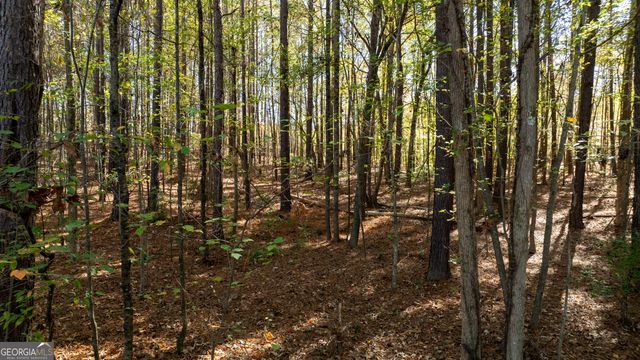 575 Tabb Way, Chattahoochee Hills, GA 30268