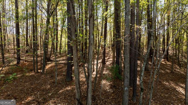 575 Tabb Way, Chattahoochee Hills, GA 30268