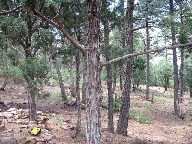 38 & 40 Mockingbird Highway, Tijeras, NM 87059