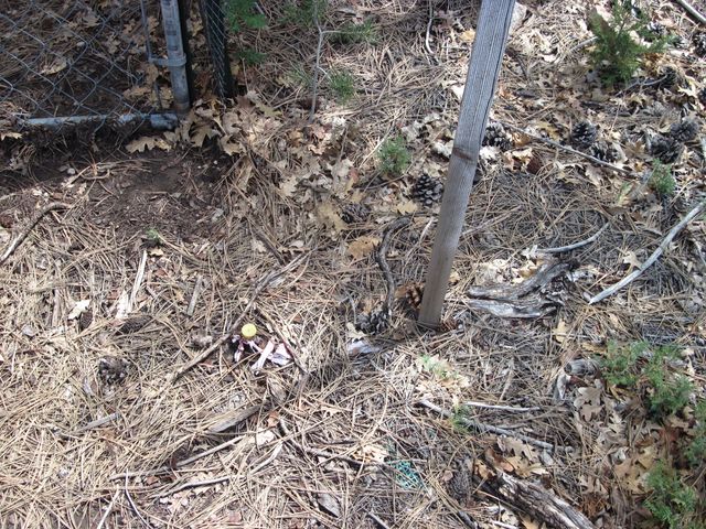 38 & 40 Mockingbird Highway, Tijeras, NM 87059