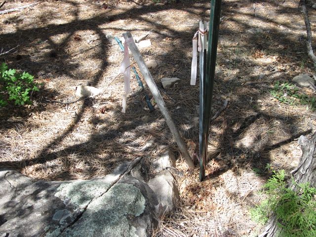 38 & 40 Mockingbird Highway, Tijeras, NM 87059