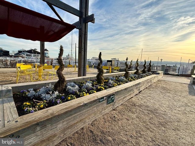 216 N PITT ST, Alexandria, VA 22314