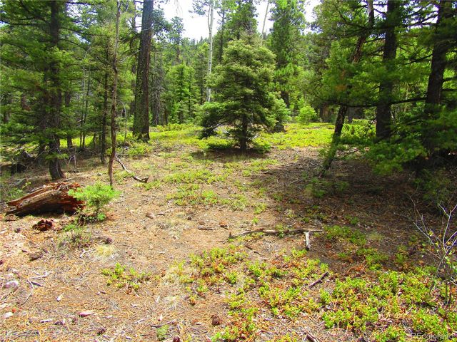 LOT 6029 Spruce Road, San Luis, CO 81152