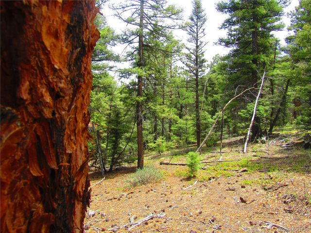LOT 6029 Spruce Road, San Luis, CO 81152