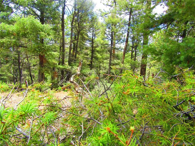 LOT 6029 Spruce Road, San Luis, CO 81152