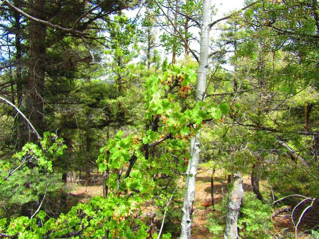LOT 6029 Spruce Road, San Luis, CO 81152