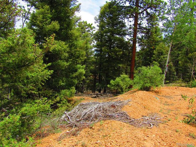 LOT 6029 Spruce Road, San Luis, CO 81152