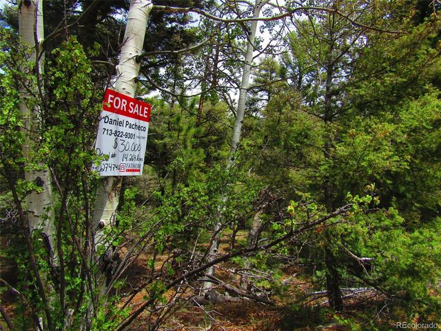 LOT 6029 Spruce Road, San Luis, CO 81152