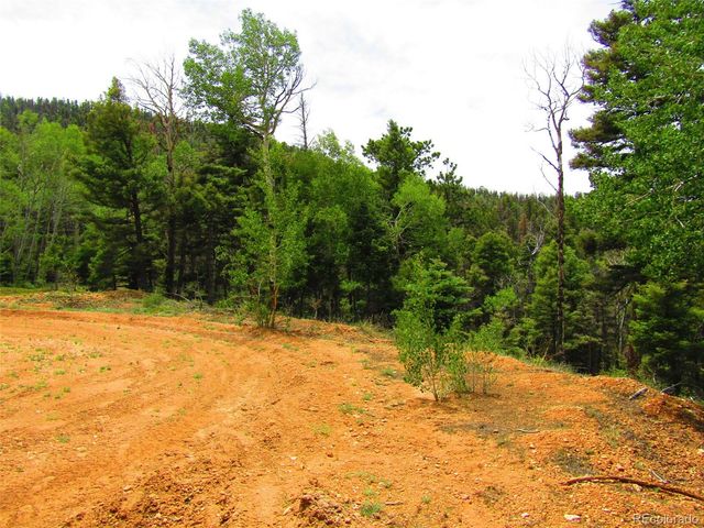 LOT 6029 Spruce Road, San Luis, CO 81152