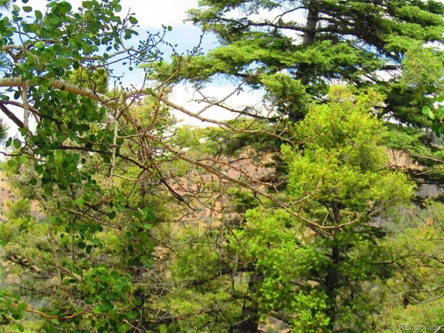 LOT 6029 Spruce Road, San Luis, CO 81152