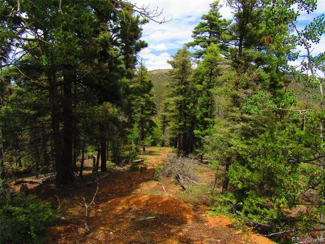 LOT 6029 Spruce Road, San Luis, CO 81152