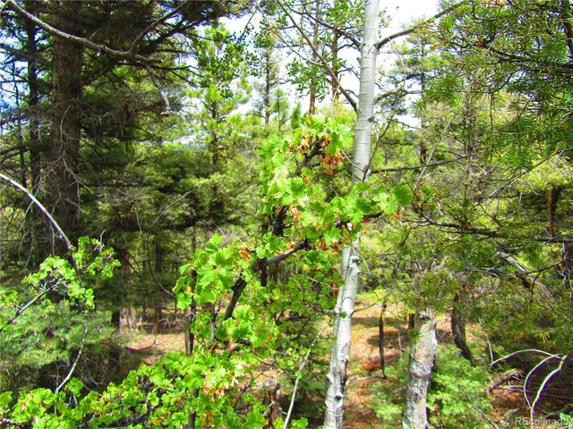 LOT 6029 Spruce Road, San Luis, CO 81152