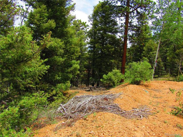 LOT 6029 Spruce Road, San Luis, CO 81152