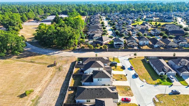 4206 Tulip Oak Drive, Houston, TX 77068