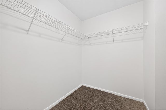 22938 Sugar Bear Drive, Spring, TX 77389