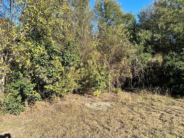 Lots 734-735 Cherry Road, Whitney, TX 76692