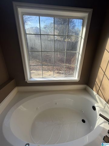 205 LEES COVE, Helena, AL 35080