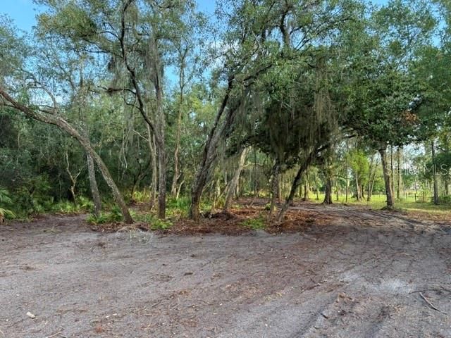 SPRING GARDEN RANCH RD, De Leon Springs, FL 32130