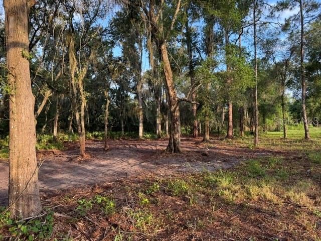 SPRING GARDEN RANCH RD, De Leon Springs, FL 32130