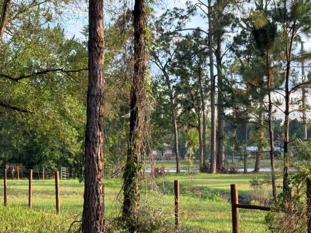 SPRING GARDEN RANCH RD, De Leon Springs, FL 32130
