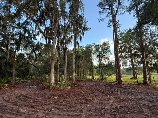 SPRING GARDEN RANCH RD, De Leon Springs, FL 32130