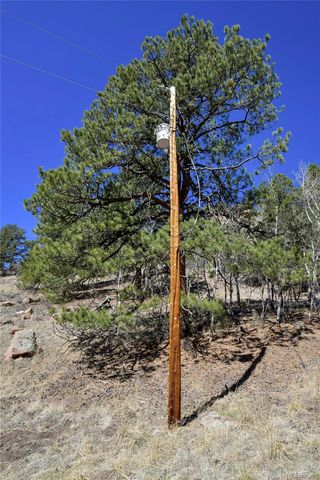 221 Floresta, Florissant, CO 80816