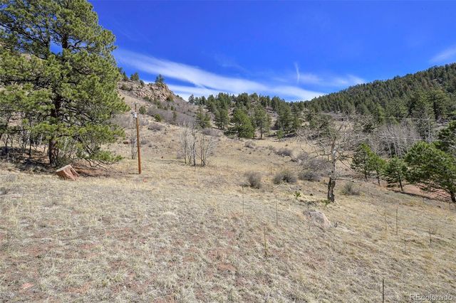 221 Floresta, Florissant, CO 80816