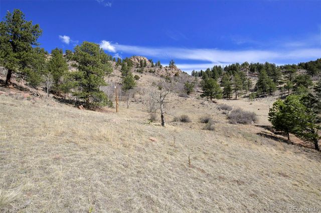 221 Floresta, Florissant, CO 80816