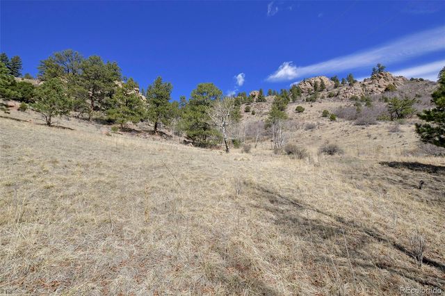 221 Floresta, Florissant, CO 80816