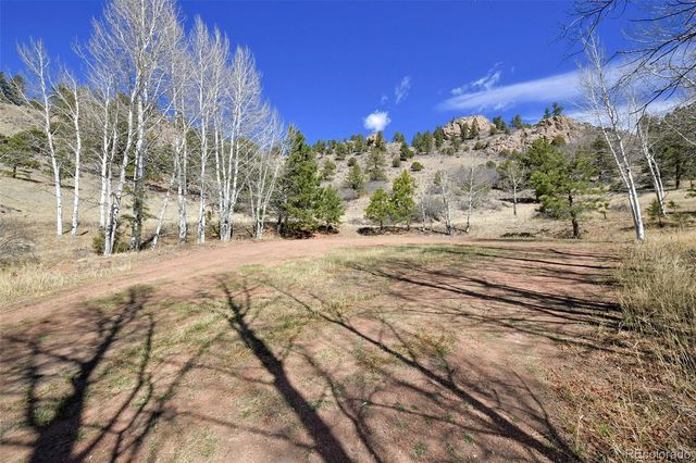 221 Floresta, Florissant, CO 80816
