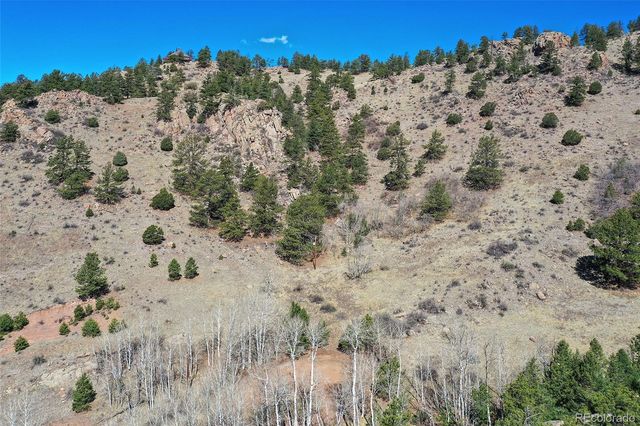 221 Floresta, Florissant, CO 80816