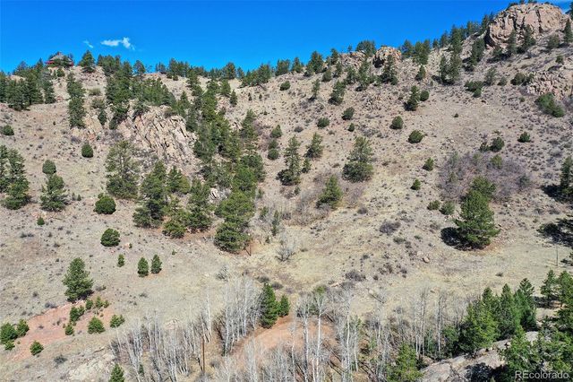 221 Floresta, Florissant, CO 80816