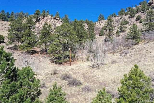 221 Floresta, Florissant, CO 80816