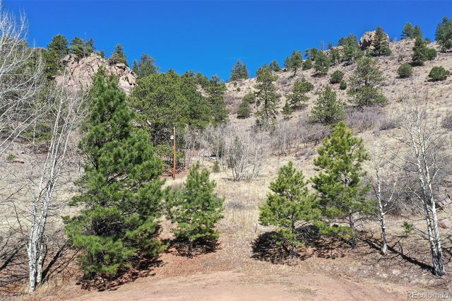 221 Floresta, Florissant, CO 80816