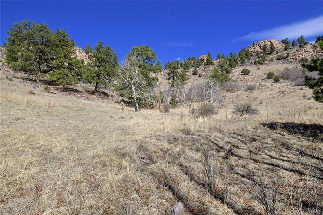 221 Floresta, Florissant, CO 80816