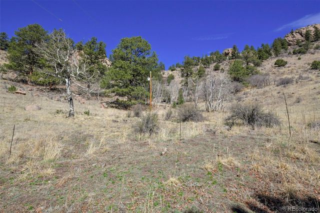 221 Floresta, Florissant, CO 80816