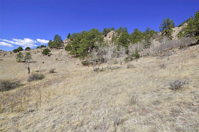 221 Floresta, Florissant, CO 80816