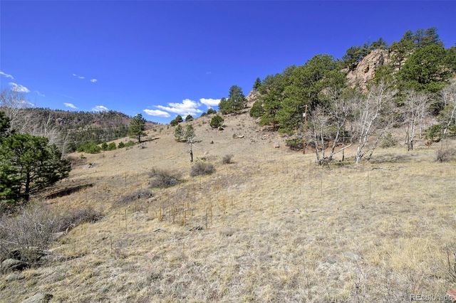 221 Floresta, Florissant, CO 80816