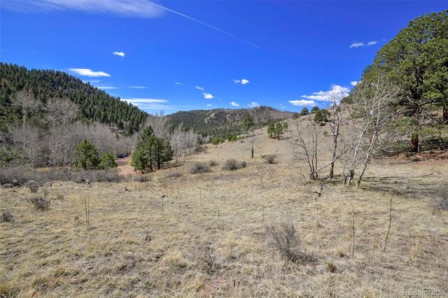 221 Floresta, Florissant, CO 80816