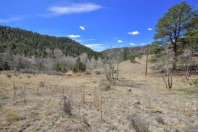 221 Floresta, Florissant, CO 80816