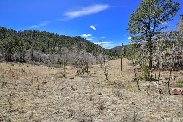 221 Floresta, Florissant, CO 80816