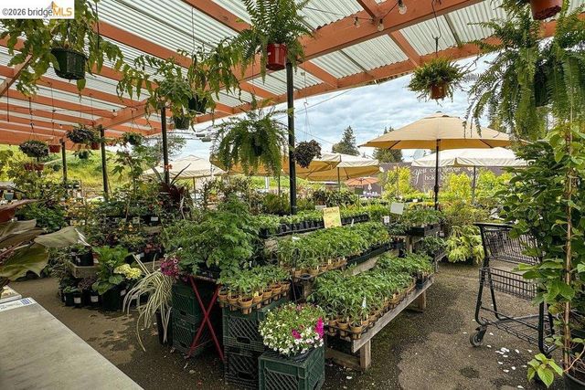 31 Harbord Court, Oakland, CA 94618