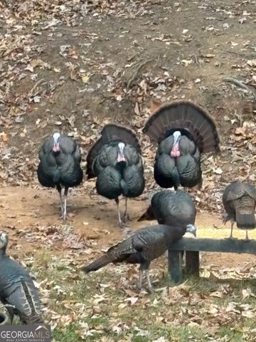 1306 Benbrooke Lane NW, Acworth, GA 30101