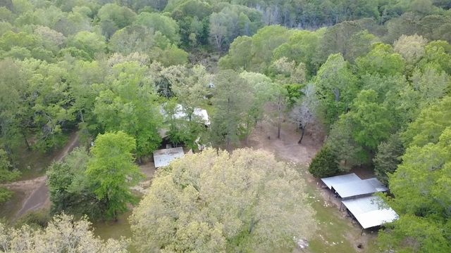 840 Liberty Church Rd, Harleton, TX 75651